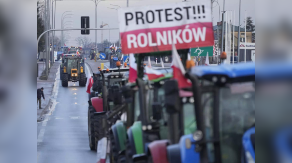 Poland's farmers agitate against grain imports