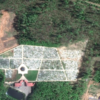 Lazarus cemetery's image