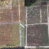 Tula Cemetery before and after attack