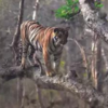 Extreme possibilities for ecotourism