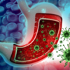 ​What is norovirus?​