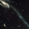 The tadpole galaxy
