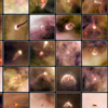 The protoplanetary