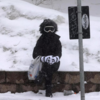 ​Around 3 meters of snow possible, winds expected to gust in excess of 185 kph