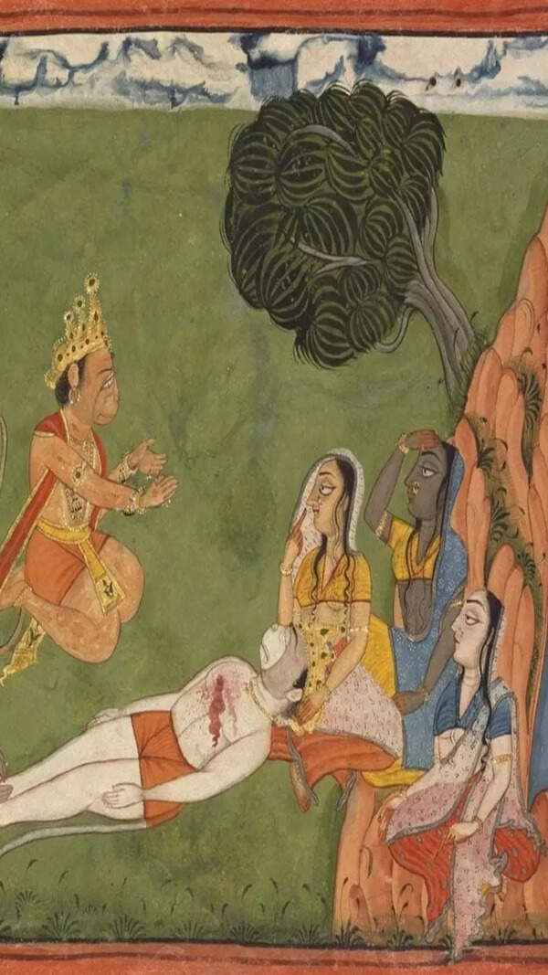 Tara