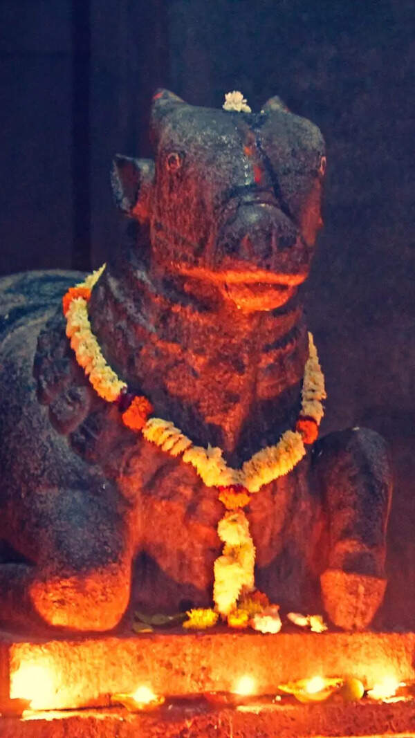 Nandi