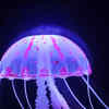 Article image for: 10 deadliest fishes in the world that can cause death