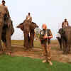 Article image for: PM Modi feeds elephants at national park
