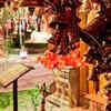 Article image for: Diyas and <i class="tbold">lamps</i>