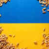 Ukraine -- 2.6%