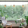 ​Incorporate greenery