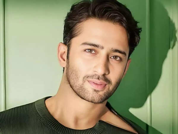 Shaheer Sheikh
