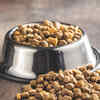 Vitamin k in dog food hotsell
