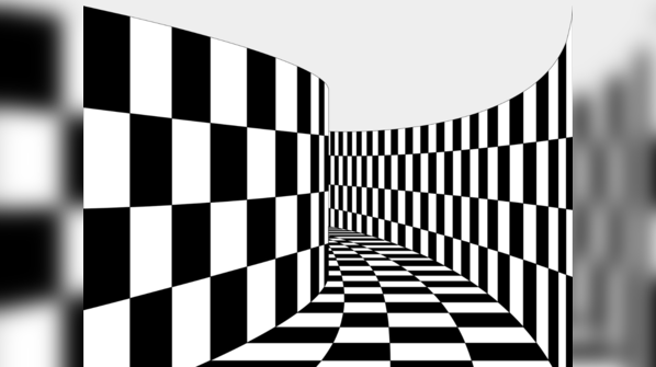 Relation between optical illusions and personality traits