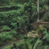Article image for: Samantha Ruth Prabhu enjoying the blissful nature