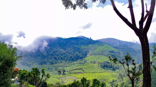 5 places to visit near Coonoor for nature lovers