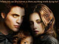 The Twilight Saga: Breaking Dawn