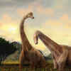 8 largest animals that ever lived