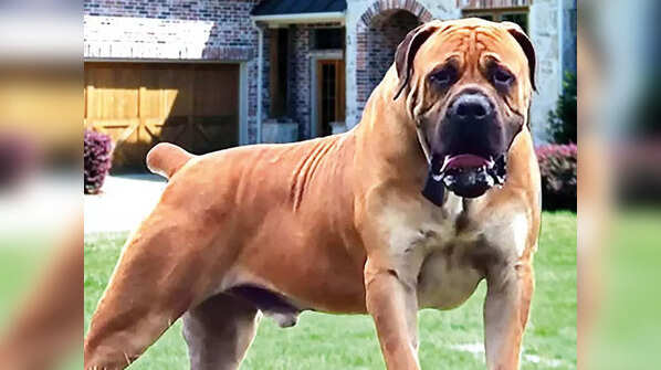 PETA files petition