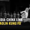 Article image for: The lesser known link between Shaolin Kung Fu and India