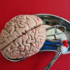 ​What are the risk factors?