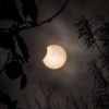 ​Stargazing night​