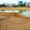 Experts call for urgent measures to save water