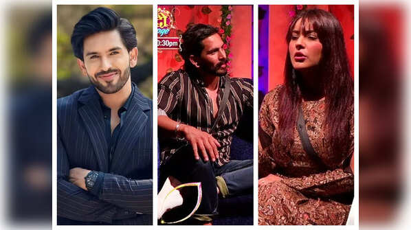 From participating in Mujhse Shaadi Karoge as Shehnaaz Gill's suitor to being ousted from Yeh Rishta Kya Kehlata Hai for unprofessional behaviour: Lesser known facts about Shehzada Dhami