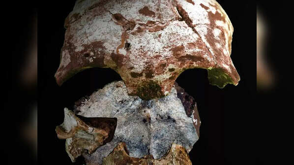Tam Pa Ling Remains