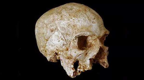 Hofmeyr Skull