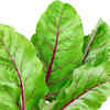 8 benefits of consuming beetroot leaves Times of India