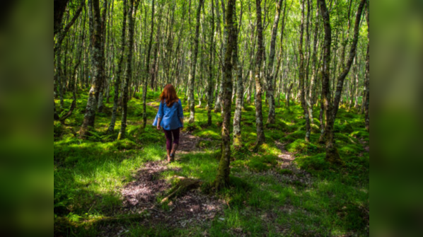 Walking meditation in nature