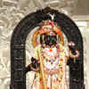 Gulal and pichkari