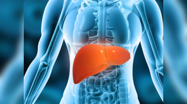 Liver is responsible for detoxification and metabolism