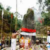 Article image for: Representation of <i class="tbold">mata parvati</i>