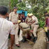Ongoing rescue work 