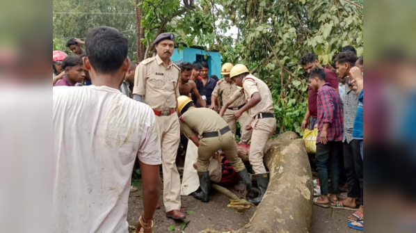 Ongoing rescue work