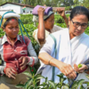 Mamata Banerjee meets small tea growers amidst crisis