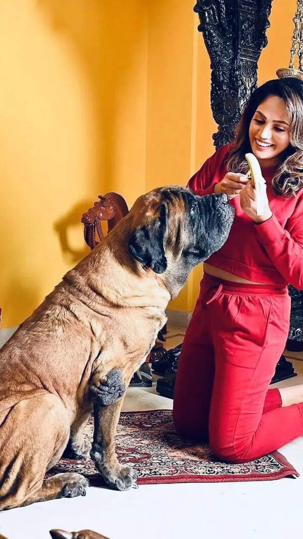 Mumtaz
