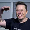 When Elon Musk and Grimes broke-up, only to reunite 