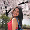 Article image for: <i class="tbold">cherry blossom</i> time