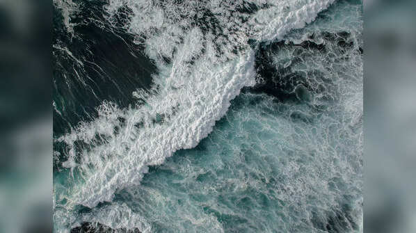 Implications for Understanding Life