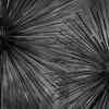 ​‘Anomalous’ metal spheres 
