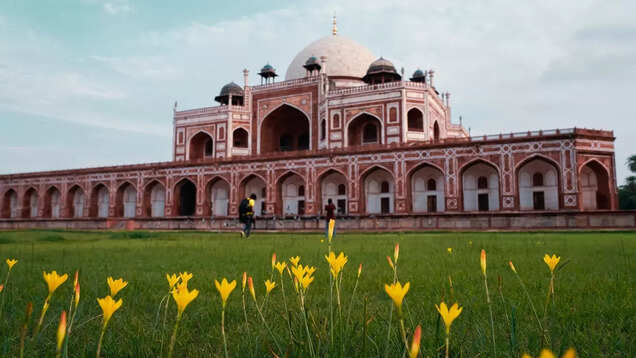UNESCO World Heritage Young Professionals Forum 2024 to be held in India; application process is open