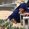 Gaza says war death toll at 33,482