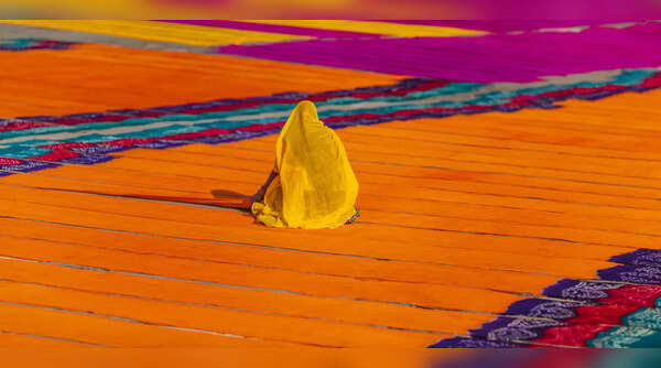 What makes Rajasthani saris so special?