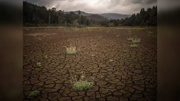 Impact of El Nino
