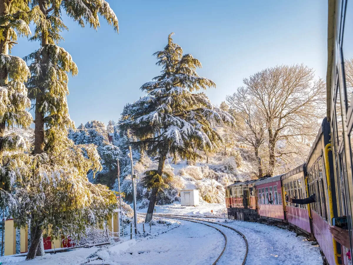 Kalka-Shimla Toy Train: How to experience this UNESCO World Heritage Site |  Times of India Travel