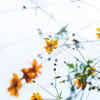 Article image for: Self-Worth