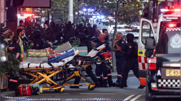 Investigation underway in stabbing rampage